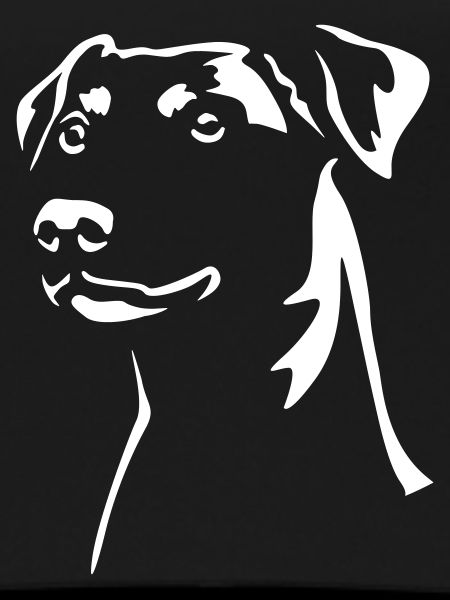 German Pinscher "Black Edition"