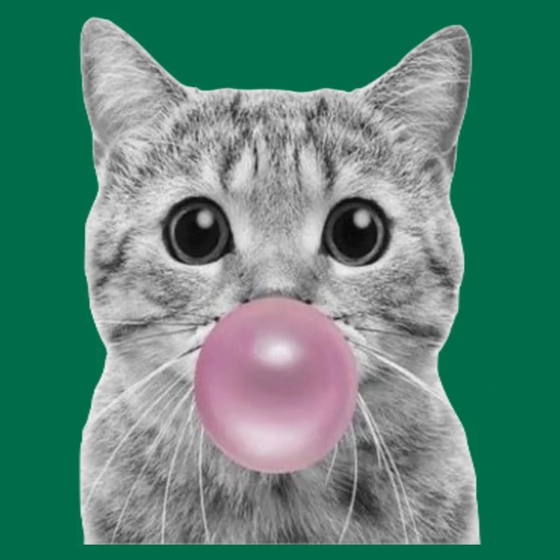 Chat bulle