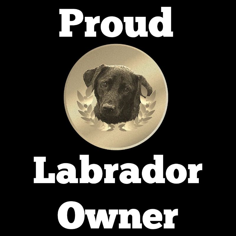 Labrador Retriever, Proud Labrador Owner