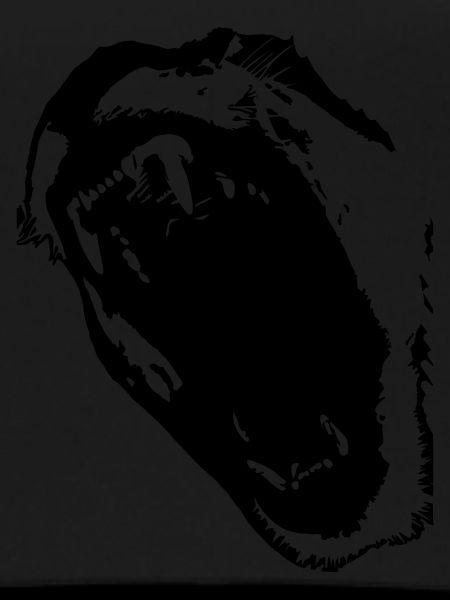 ROAR