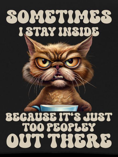 Drôle de chat