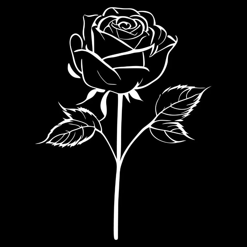 Weiße Rose