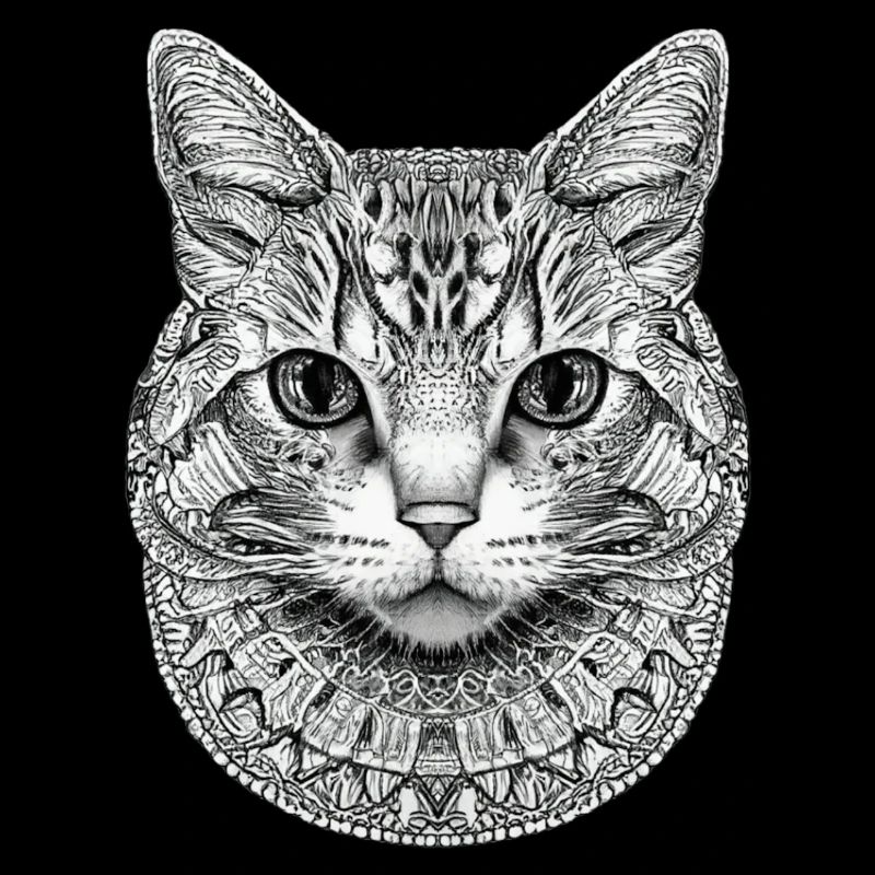 CHAT STYLISÉ MANDALA