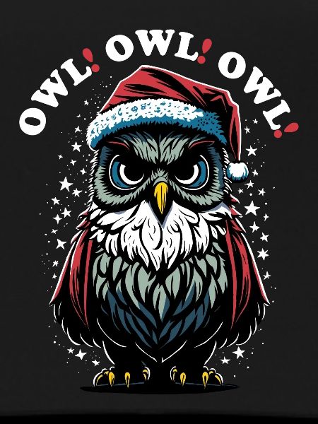 Weihnachtsmann Eule