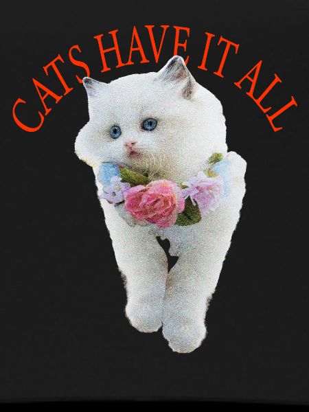 Sassy Cat