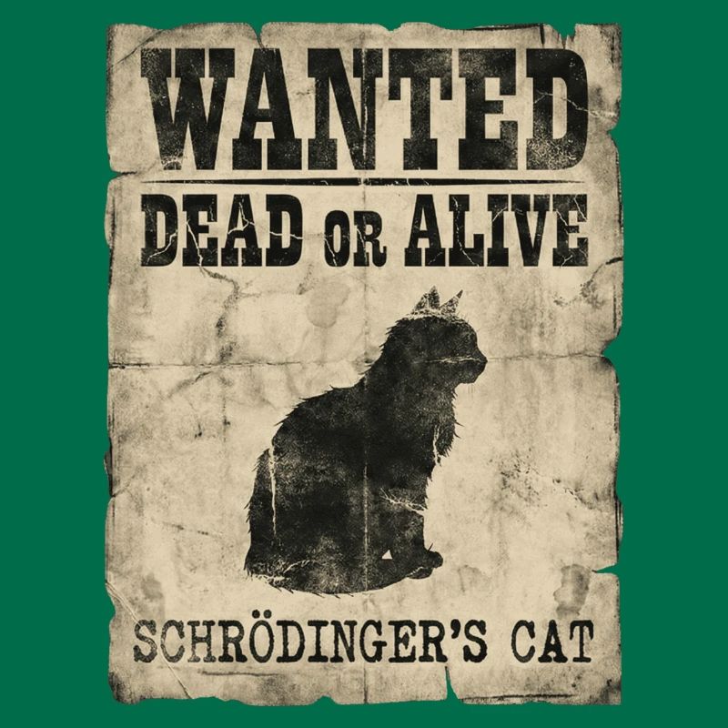 Schrödinger's Cat Wanted Dead Or Alive Physics Pun