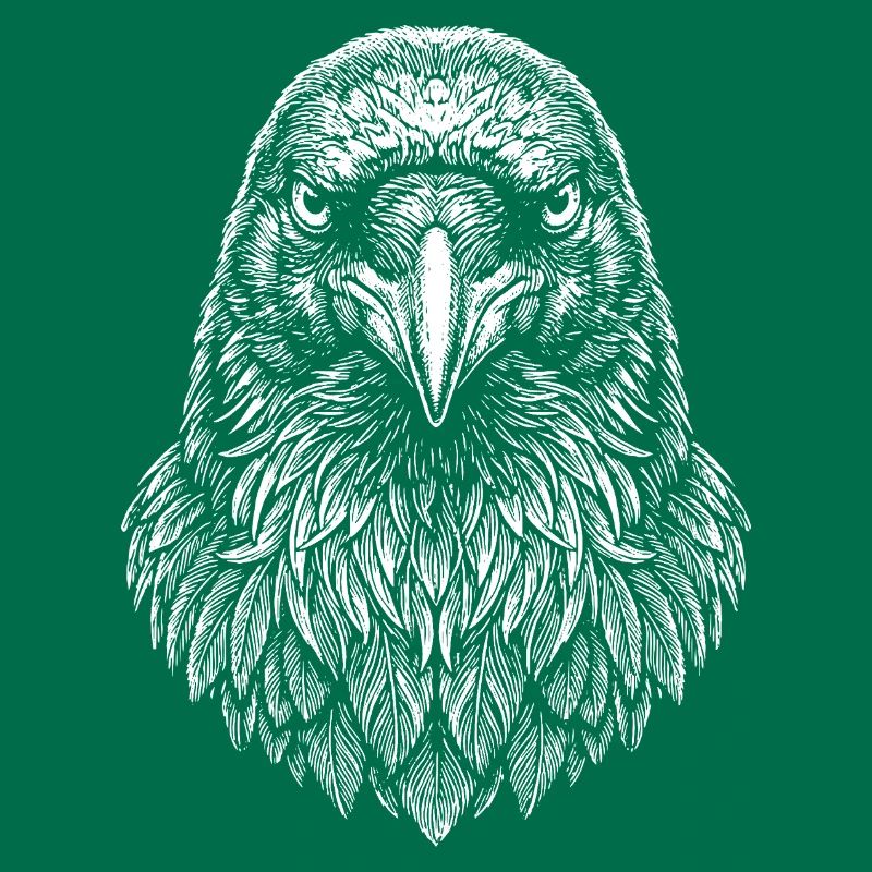 Aviator Eagle Headline Art