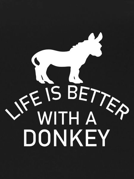 Donkey Esel