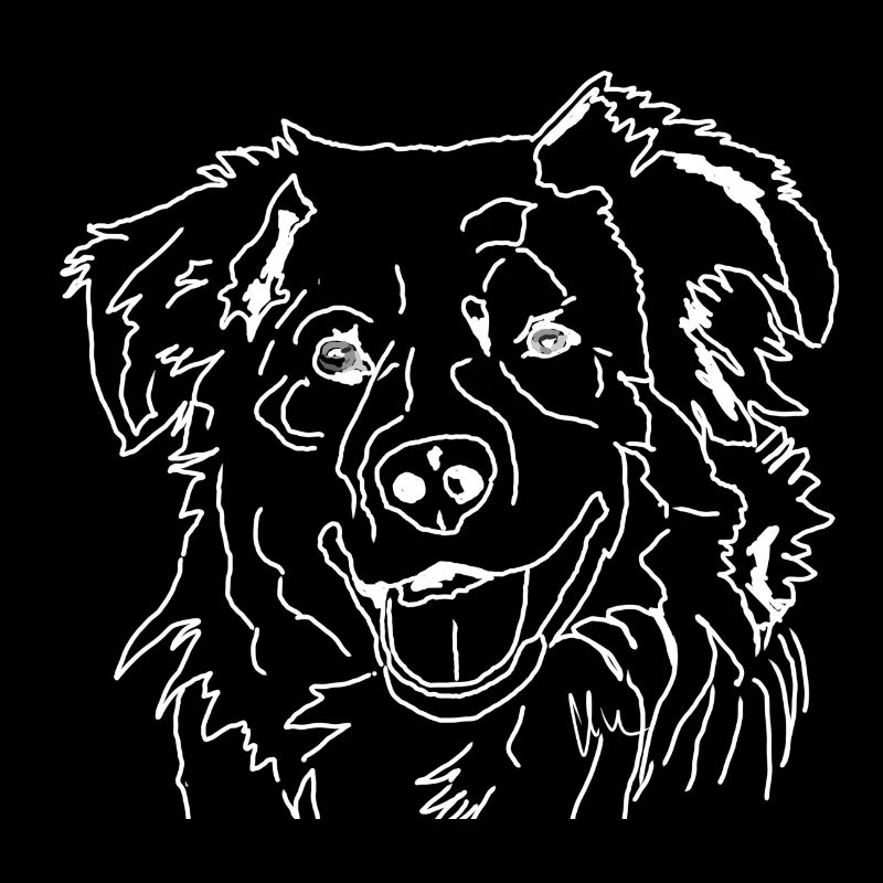 Australian Shepherd