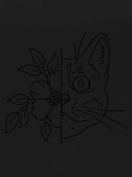 Katze