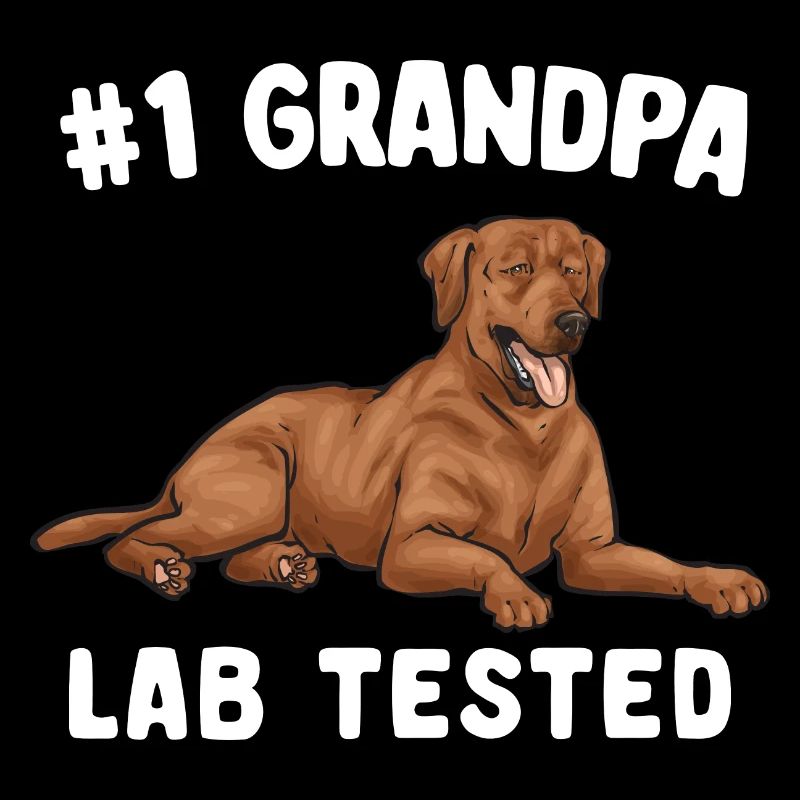 Fuchsroter Labrador Retriever Fox Red Labrador