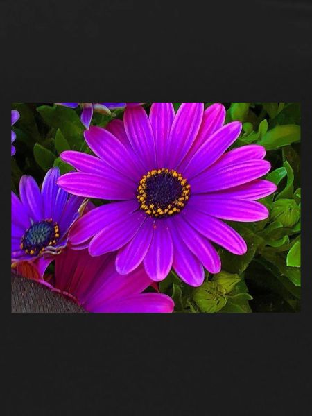 Fleur