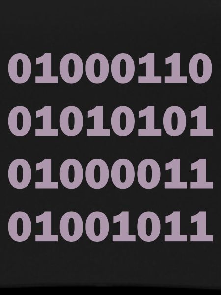 Binary Code Fuck