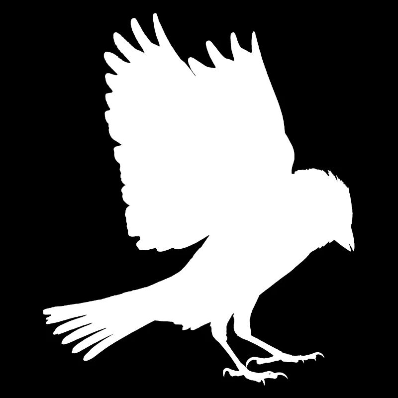 white sparrow