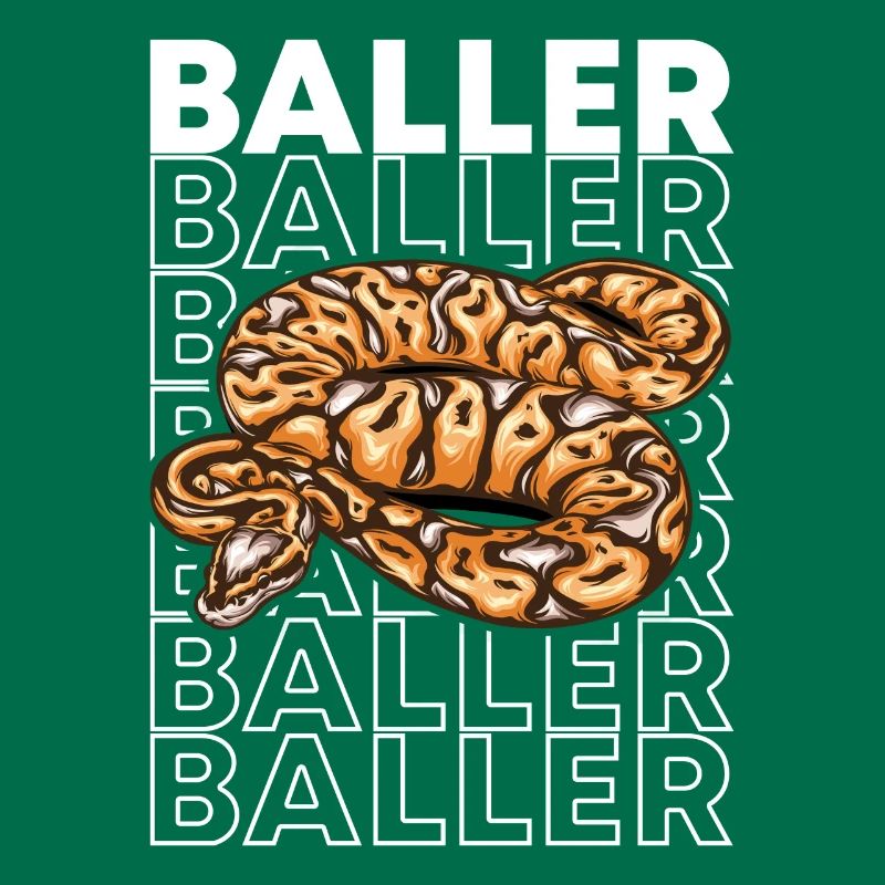 Ball Python 80's Style Baller Royal Python Snake