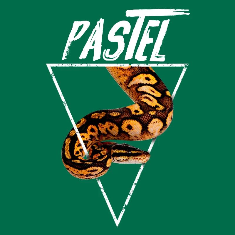 Pastel Ball Python Besitzer