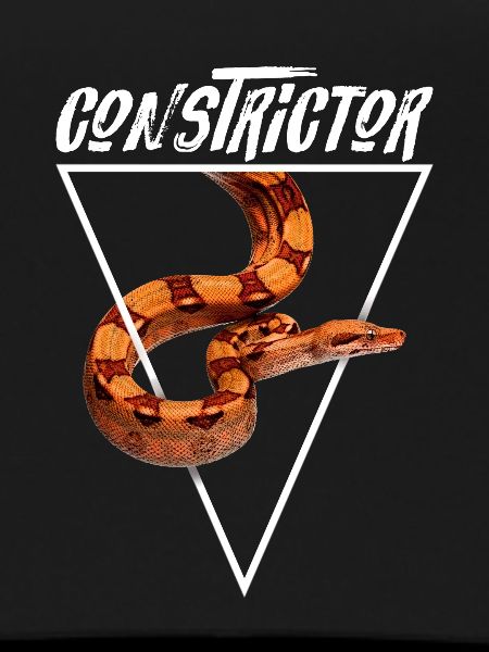 Boa Constrictor Geometric