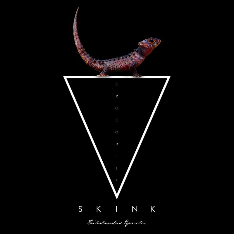 Crocodile Skink Lizard Geometric