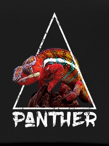 Panther Chameleon Distressed Geometric