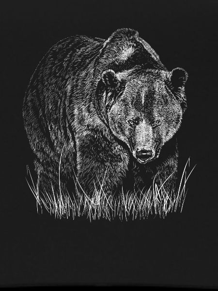 Bear