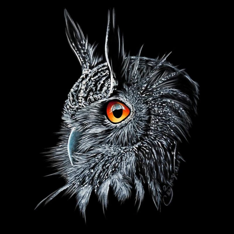 Uhu /Bubo Bubo/Hibou