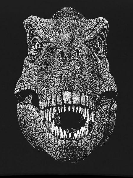 Dinosaur
