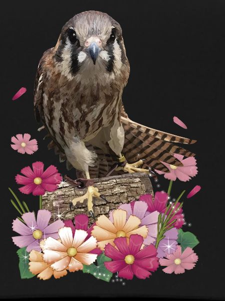 Kestrel