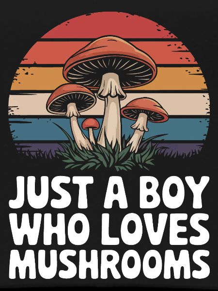 Champignons Champignons Champignon Champignon