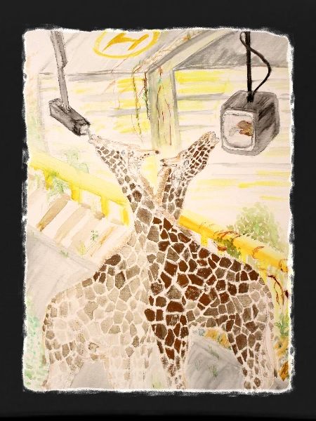 Giraffe im Neon-Transit