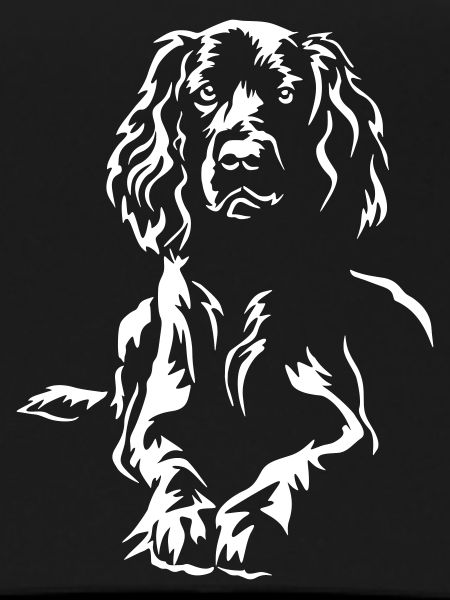 Field Spaniel "Black Edition"