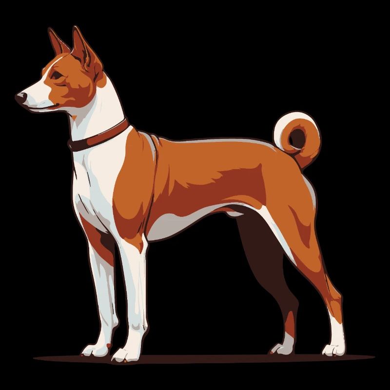 Basenji