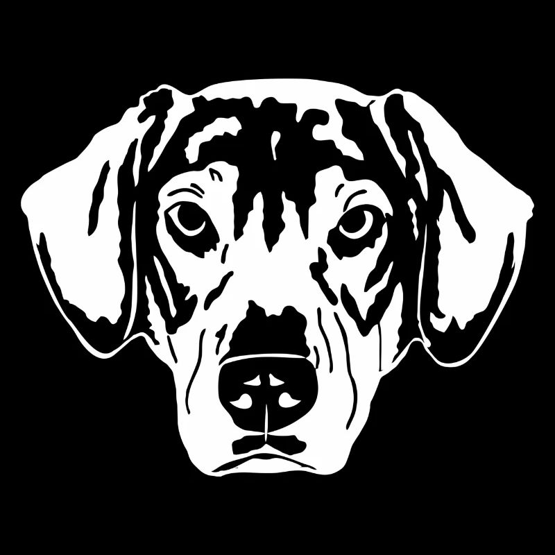 Schäferhund Mix