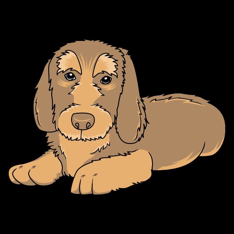 Dachshund wire-haired dachshund