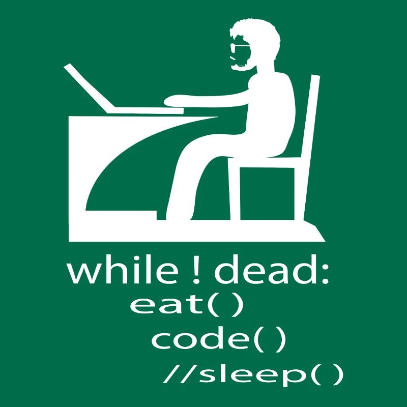 Softwareentwickler Programmierer Geschenk