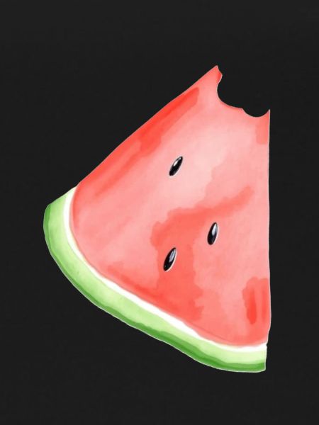 Pastèque peinte