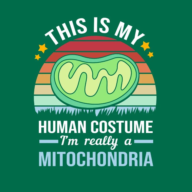 Formule structurelle de la molécule