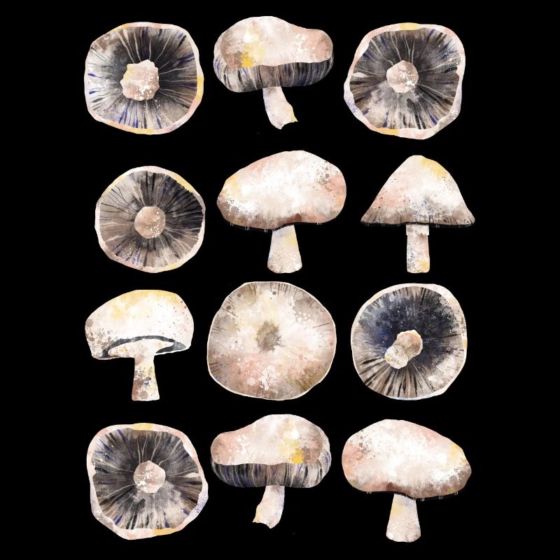 Champignons