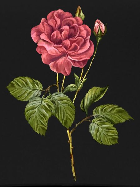 Fleur