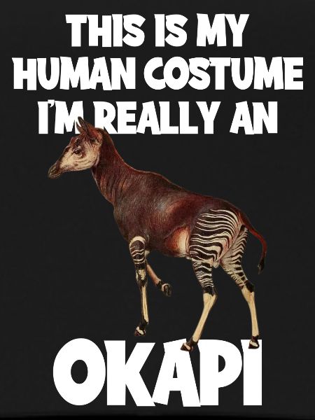 Okapi Zoo Expedition