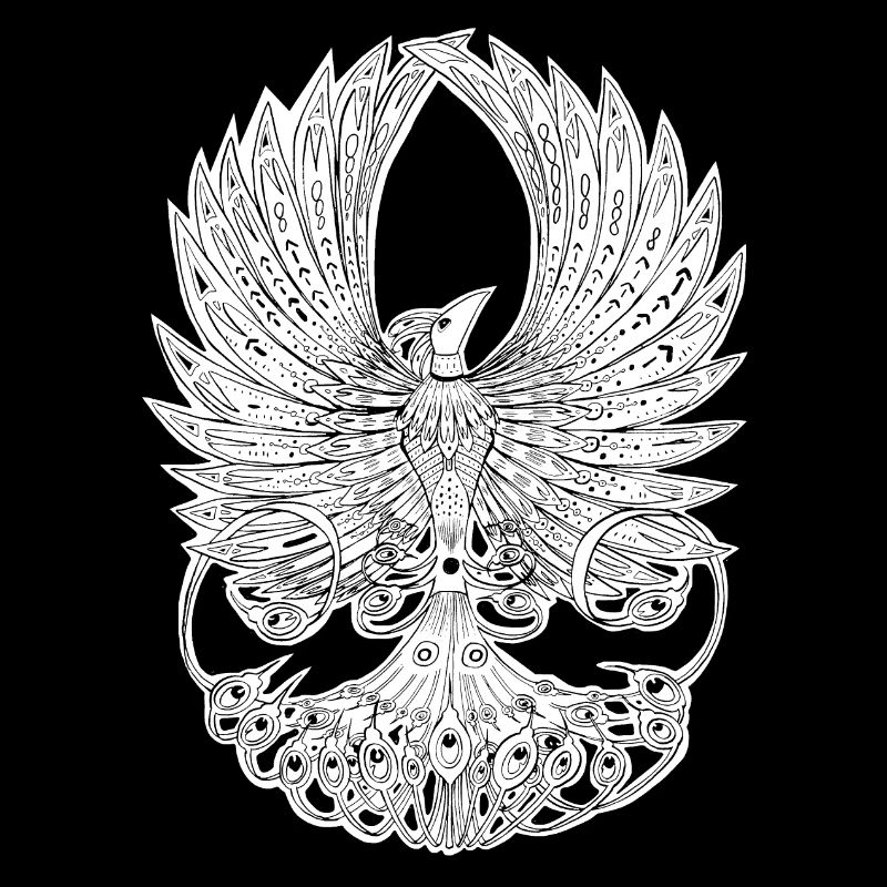 Phoenix Graphique