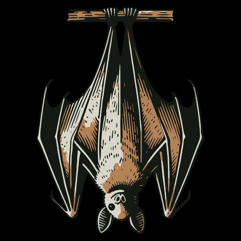 Bat