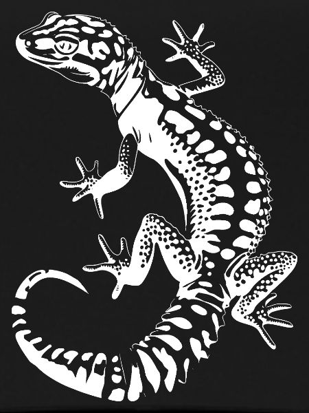 Gecko Silhouette Leopard Gecko