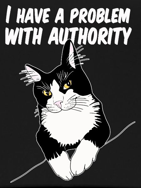 Cat Defies Authority