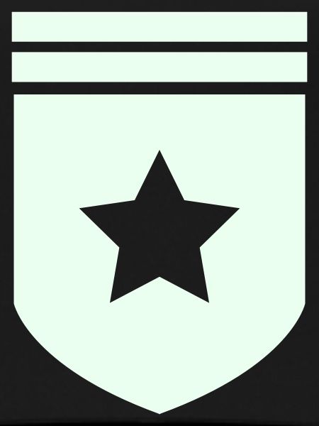 Abzeichen Stern