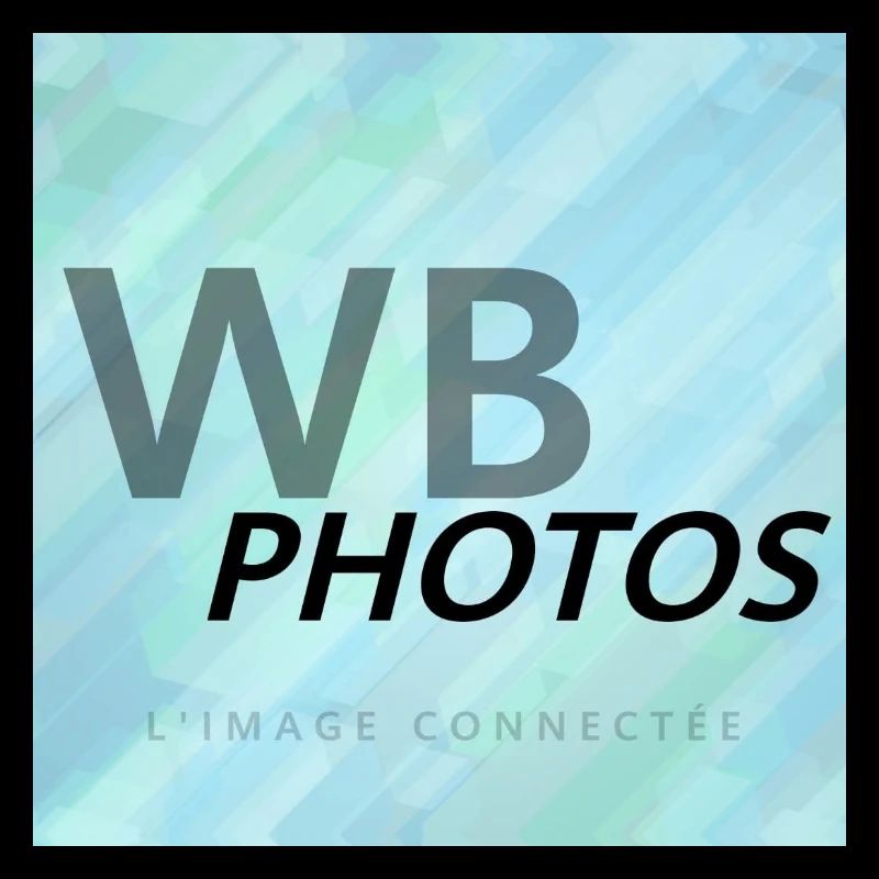 LOGO WBP BLEU CLAIR