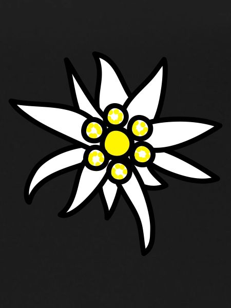 Edelweiss