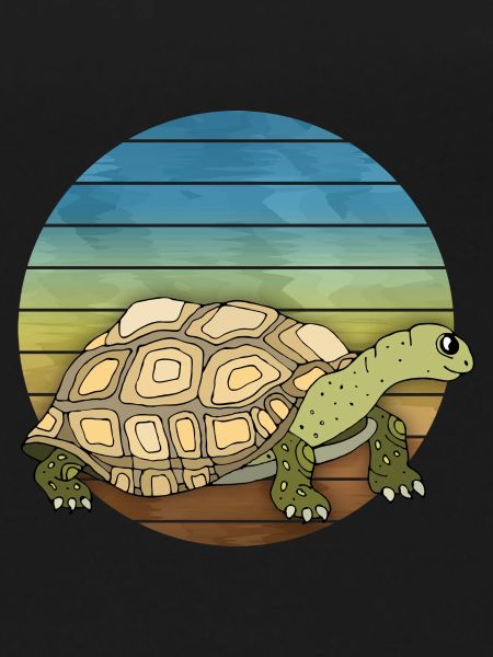 Tortoise