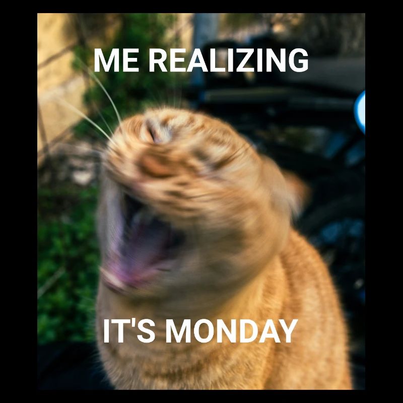 MOI RÉALISANT QUE C’EST LUNDI – Red Cats Memes