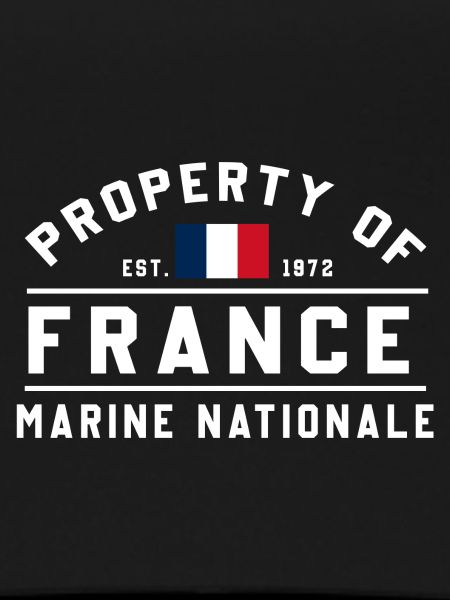 French Navy Ownership