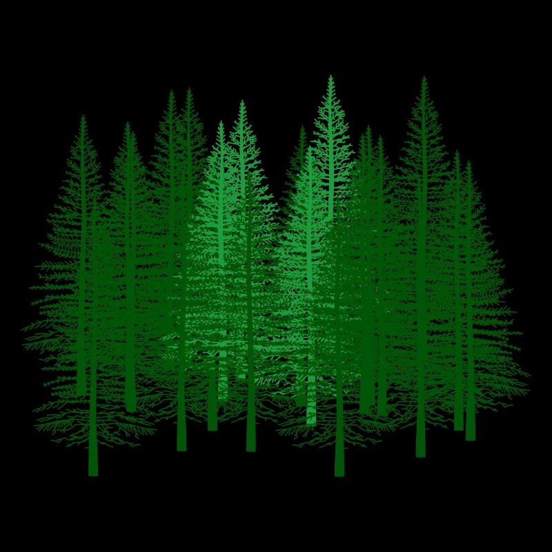 vert, forêt, forêts, forestier, chasseur, sapin, sapin, forêts
